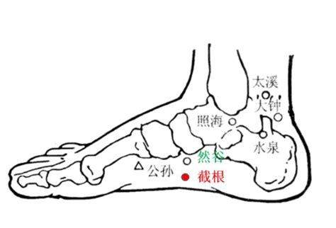 截根穴位置